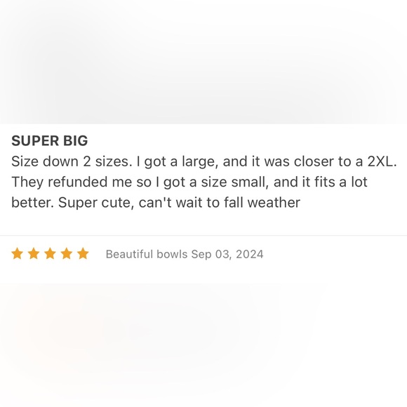 Vince Camuto Women’s HALLOWEEN FALL PUMPKIN SOFT STRETCHY SWEATER XXL 2X - Picture 5 of 9